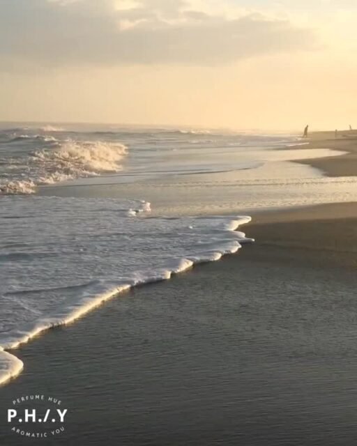 When the founder becomes the campaign.
This summer, smell like fresh decisions. 
Go pick your favorites from our summer scents now! 
#slaywithphay #phayfragrances #summerfragrances #shopnow #buynow